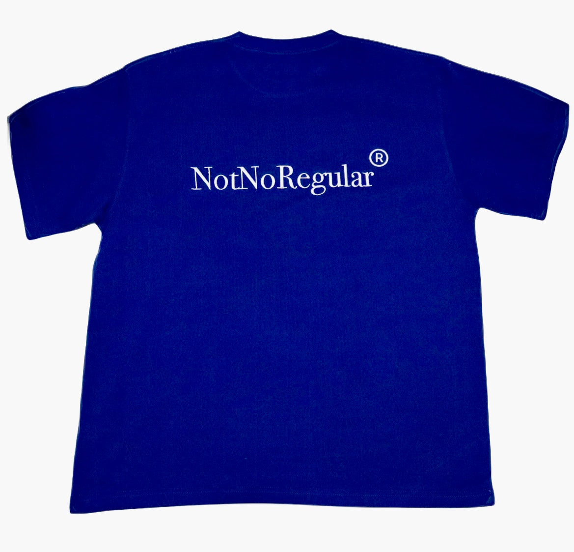NotNoRegular ® Classic Logo Tee - Blue