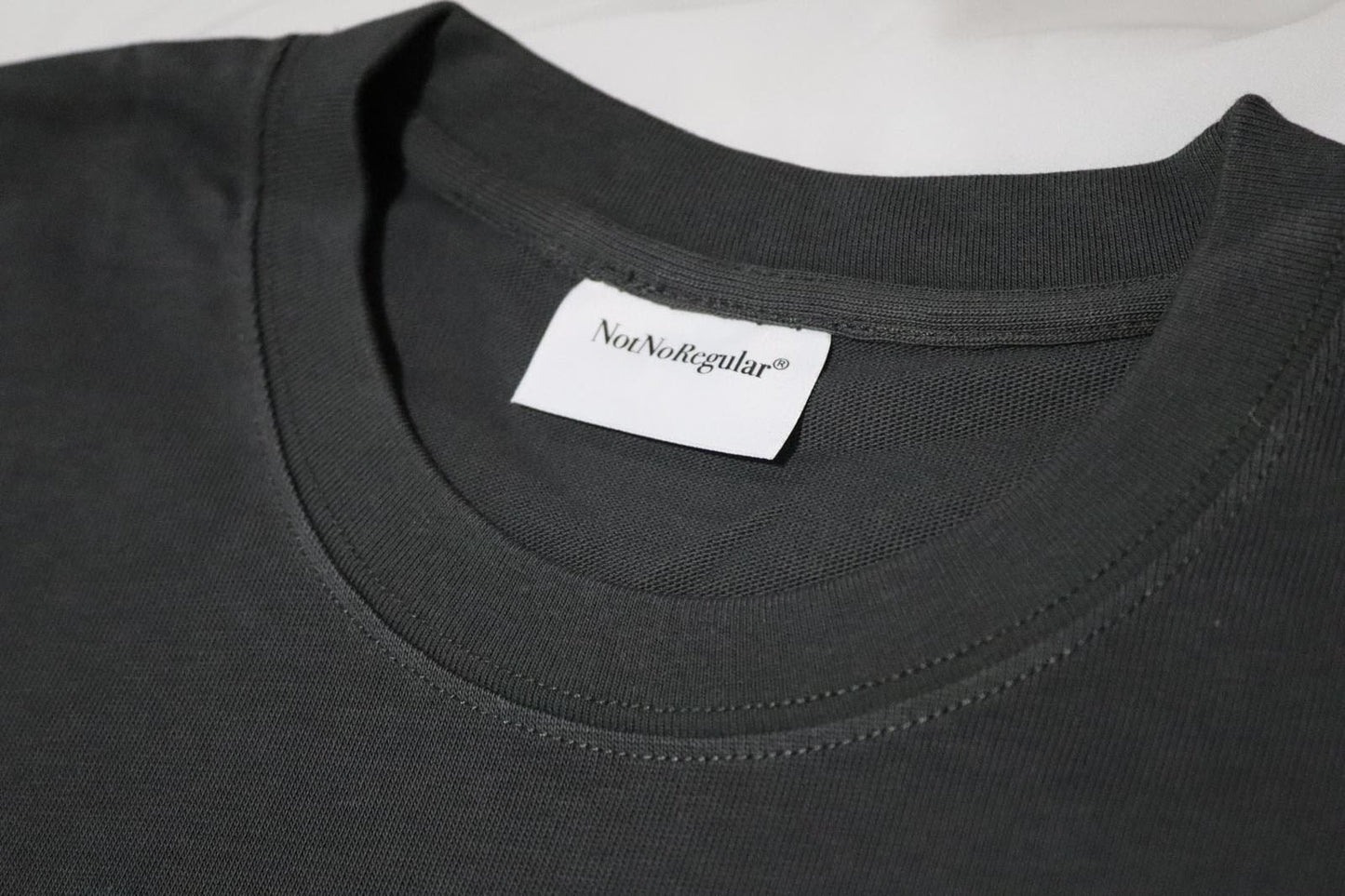 NotNoRegular ® Classic Logo Tee - Grey